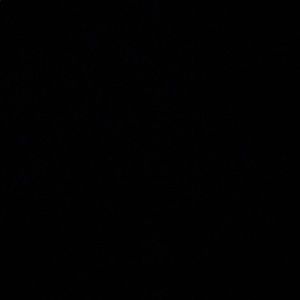 Meet your Posher, Jessennia